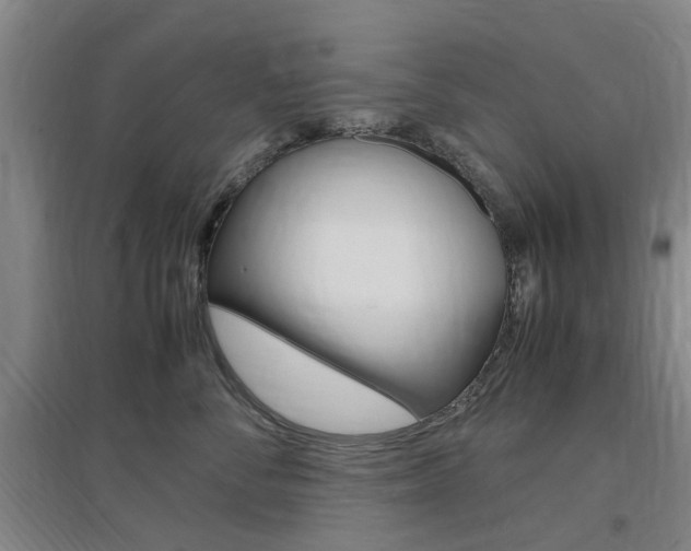 X0000097460716200802220806