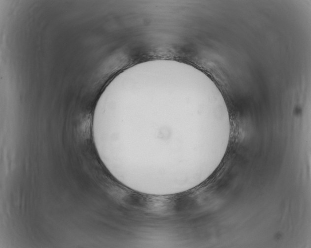 X0000097460717200802220806