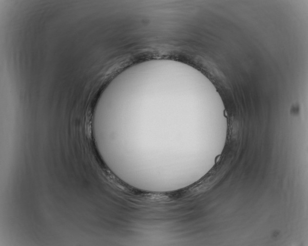 X0000097460719200802220806