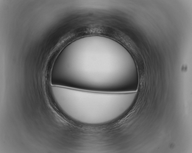 X0000097460722200802220806