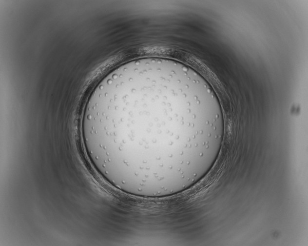 X0000097460725200802220806