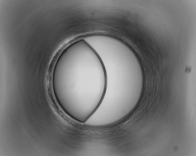 X0000097460726200802220806