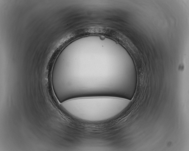 X0000097460727200802220806