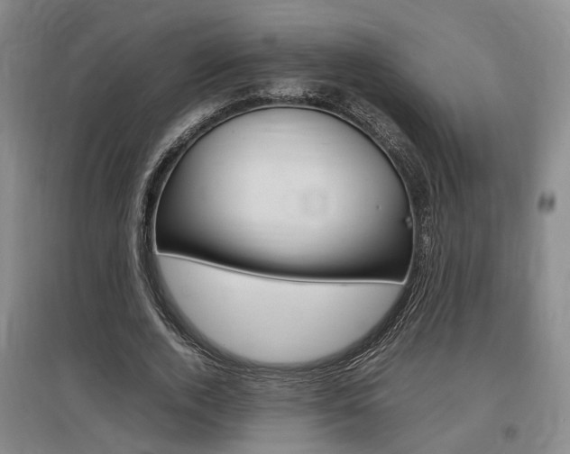 X0000097460728200802220806