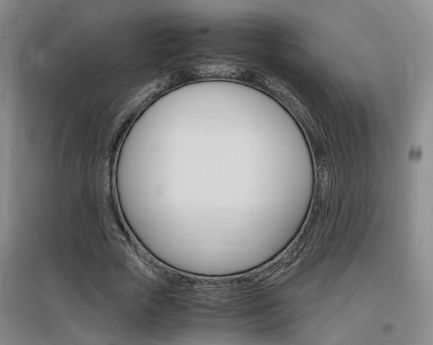 X0000097460729200802220806