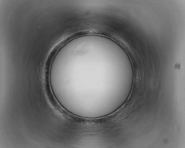X0000097460730200802220806