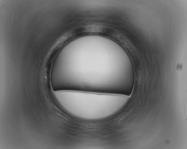 X0000097460731200802220806