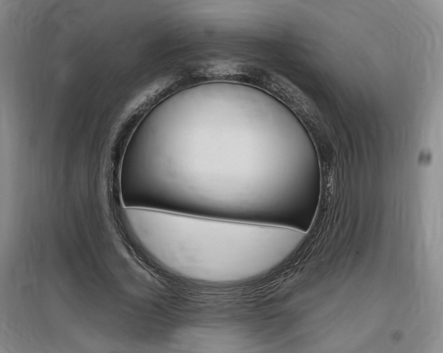 X0000097460732200802220806