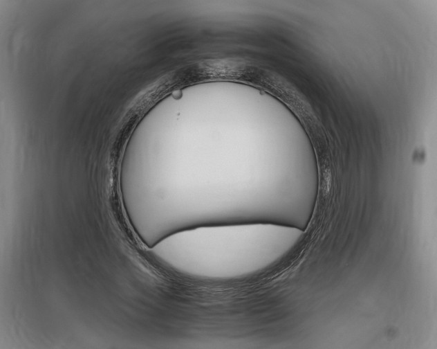 X0000097460733200802220806