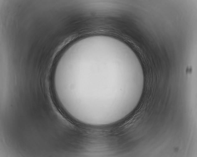 X0000097460734200802220806
