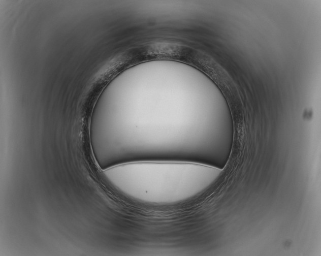 X0000097460735200802220806