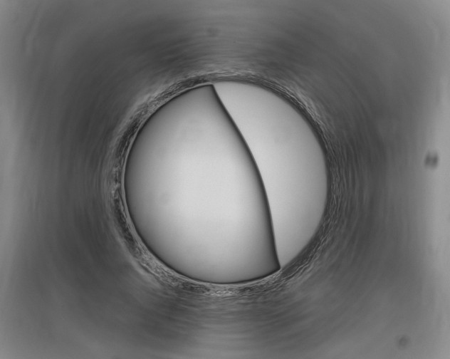 X0000097460736200802220806