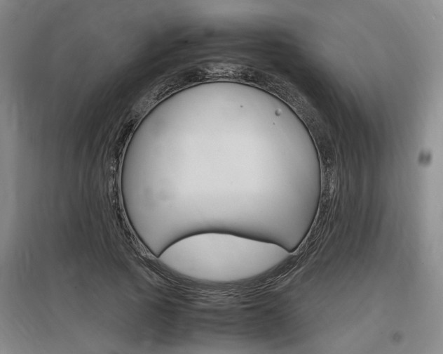 X0000097460737200802220806