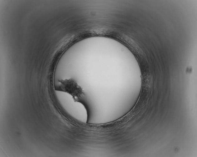 X0000097460738200802220806