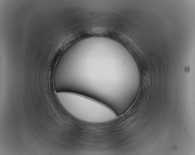 X0000097460739200802220806