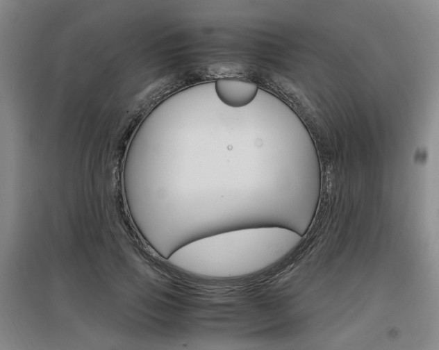 X0000097460741200802220806
