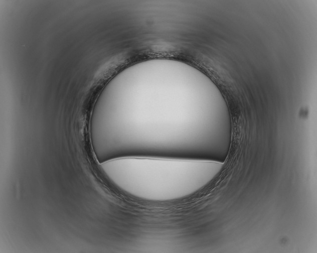 X0000097460742200802220806