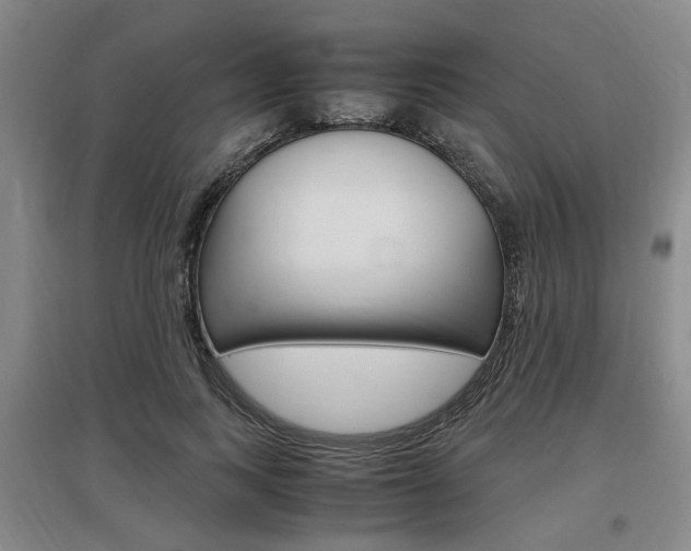 X0000097460743200802220806