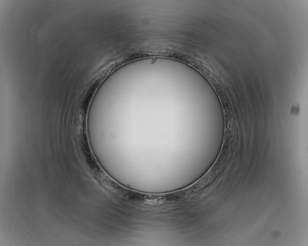 X0000097460744200802220806