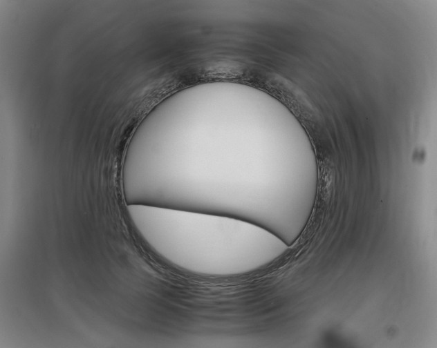X0000097460745200802220806