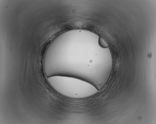 X0000097460746200802220806
