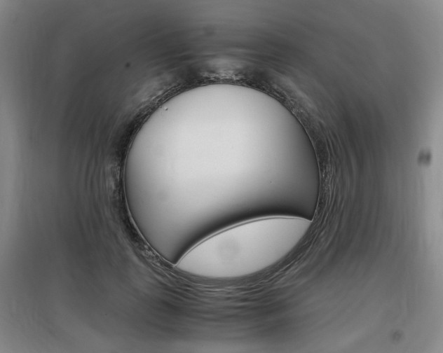 X0000097460747200802220806