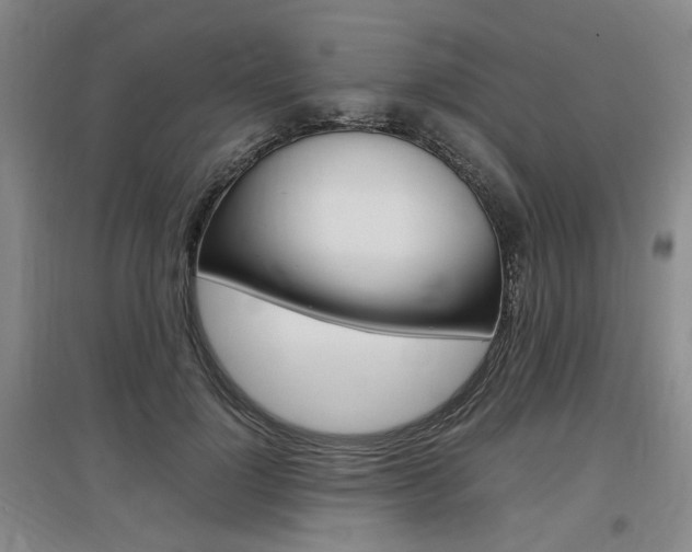X0000097460748200802220806