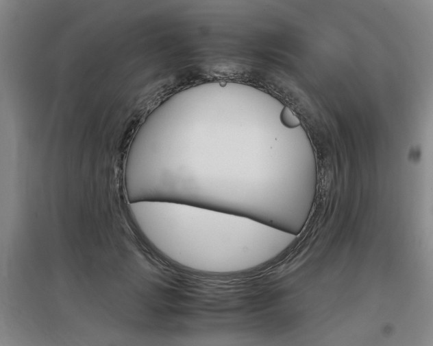 X0000097460749200802220806