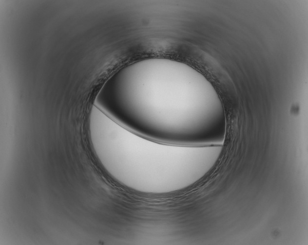 X0000097460750200802220806