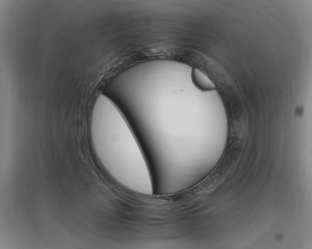 X0000097460751200802220806
