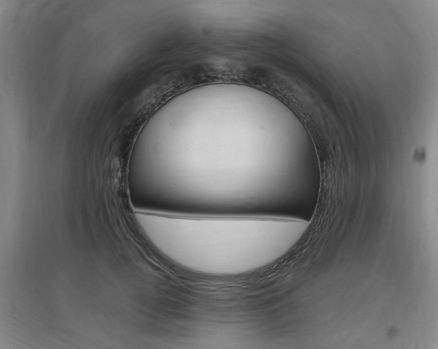 X0000097460752200802220806