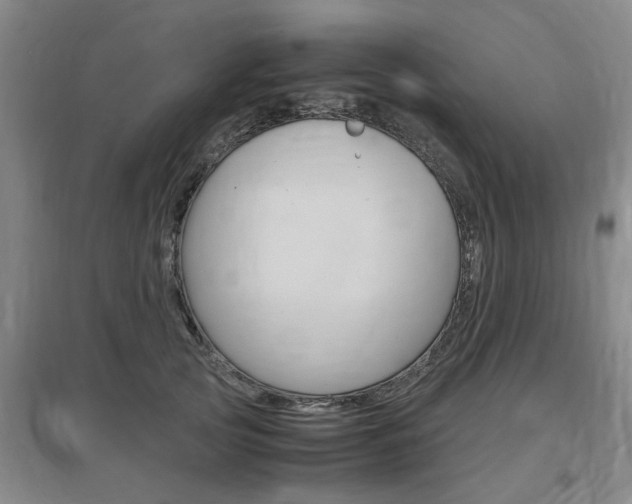 X0000097460753200802220806