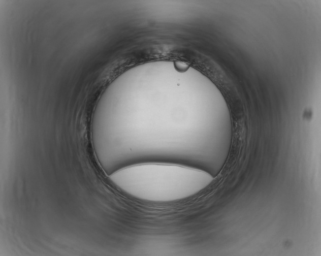 X0000097460754200802220806