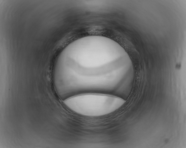 X0000097460755200802220806