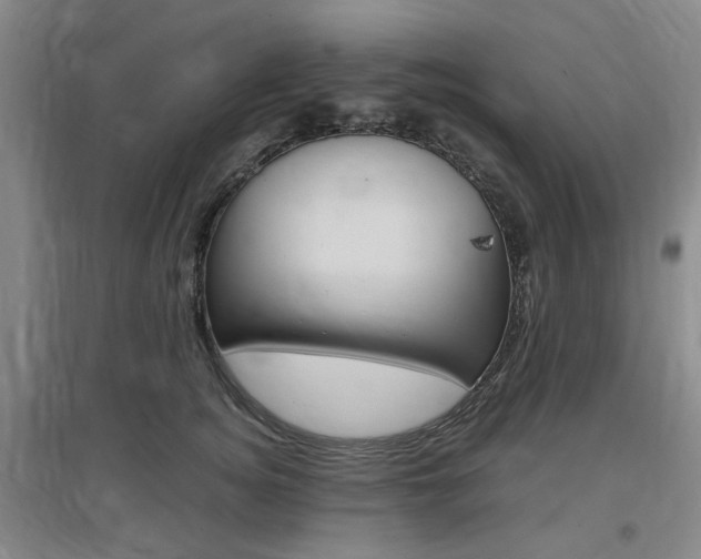 X0000097460756200802220806