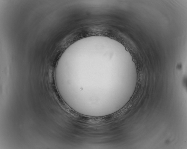 X0000097460757200802220806