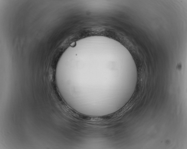X0000097460758200802220806