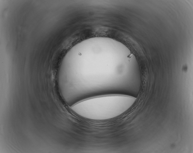 X0000097460759200802220806