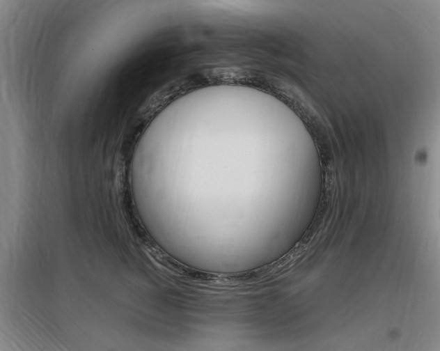 X0000097460760200802220806