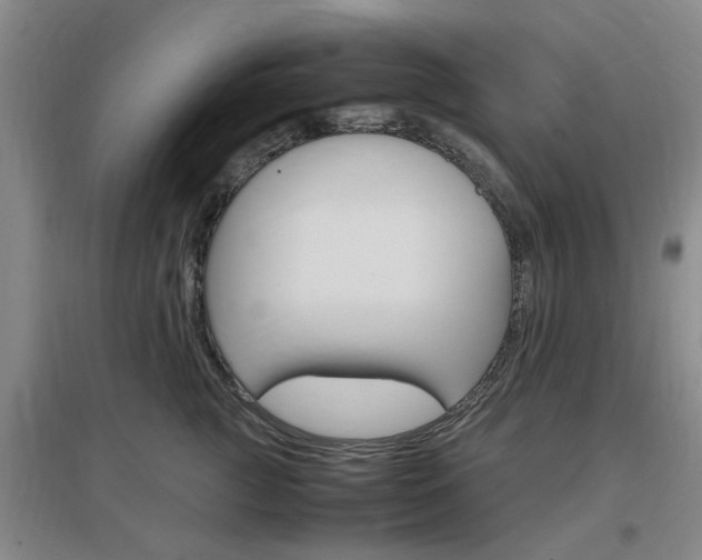 X0000097460761200802220806