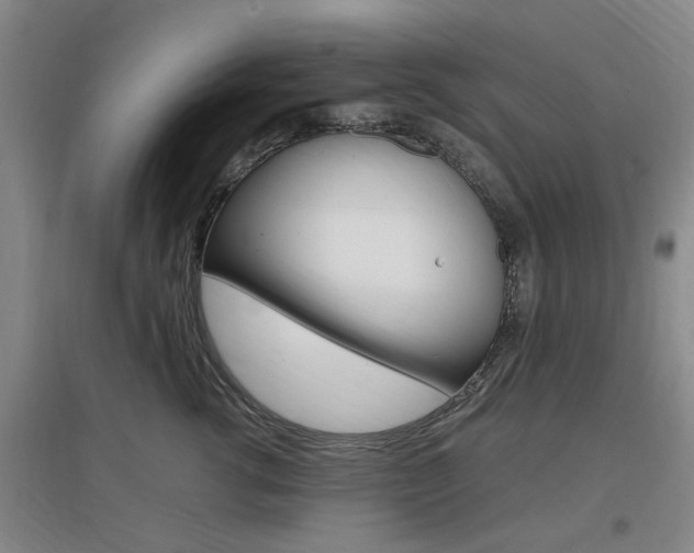 X0000097460762200802220806