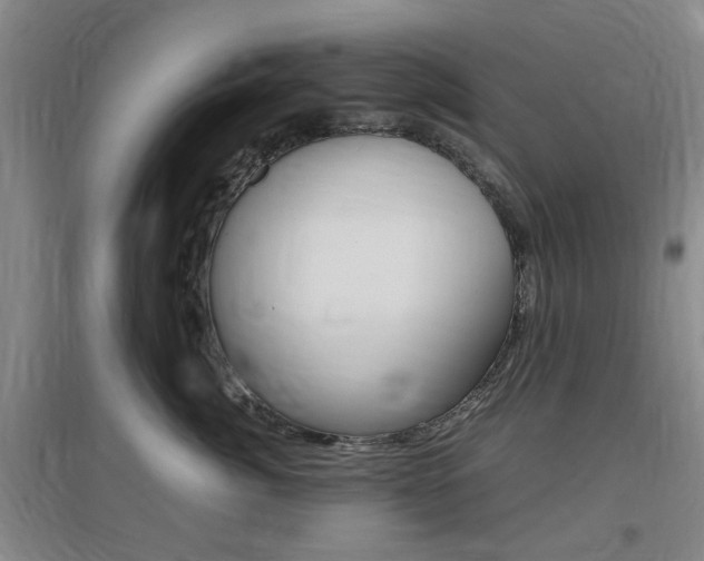 X0000097460764200802220806