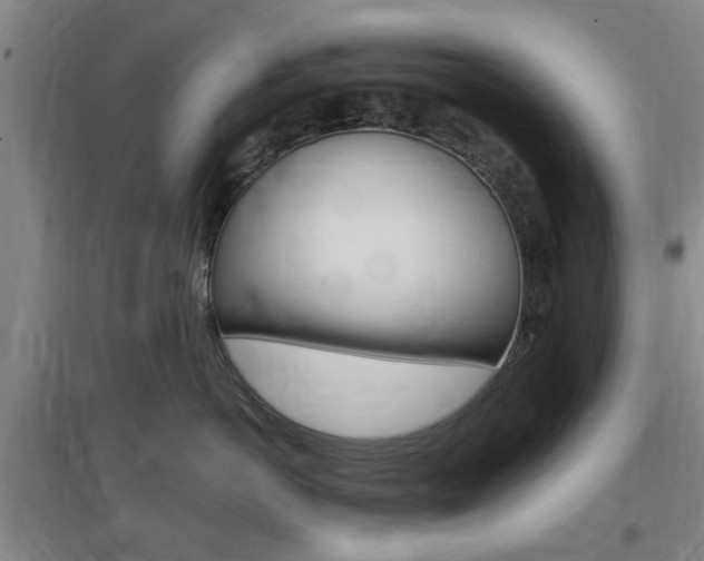 X0000097460766200802220806