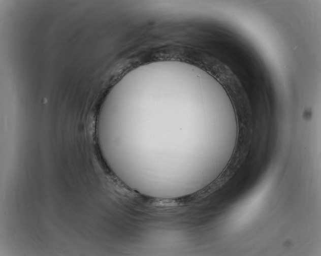 X0000097460767200802220806