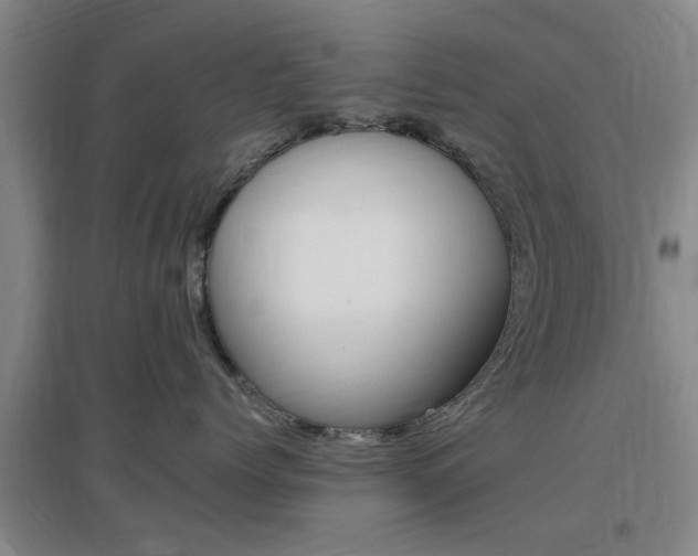 X0000097460768200802220806