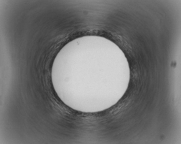 X0000097460769200802220806