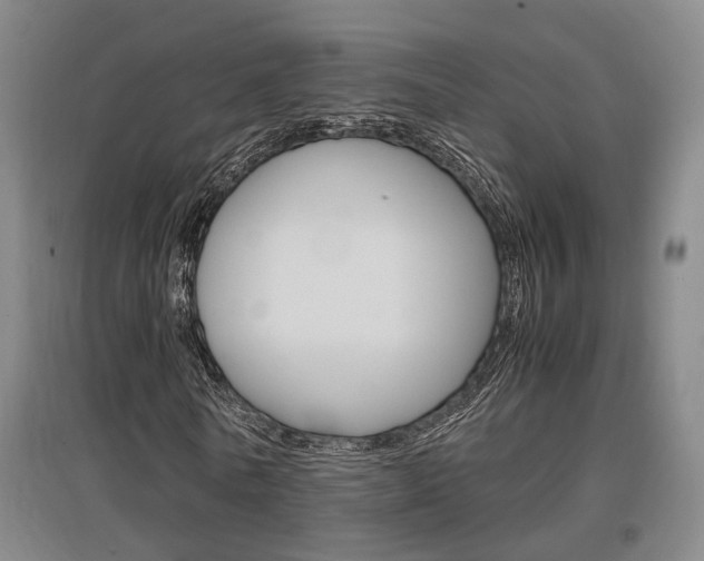 X0000097460770200802220806