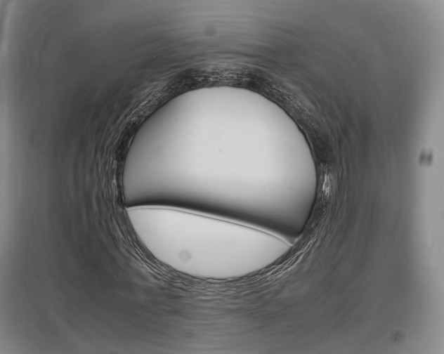 X0000097460771200802220806