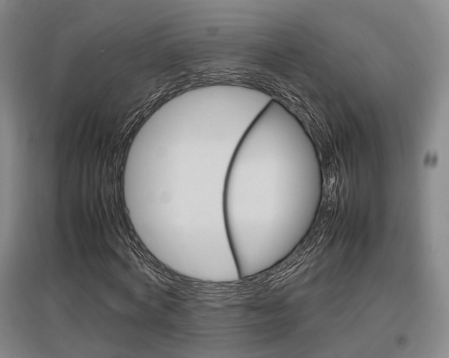 X0000097460772200802220806