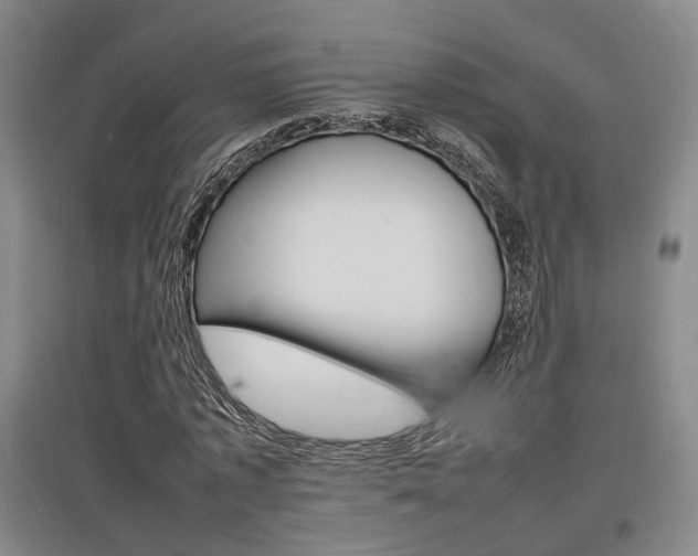 X0000097460773200802220806
